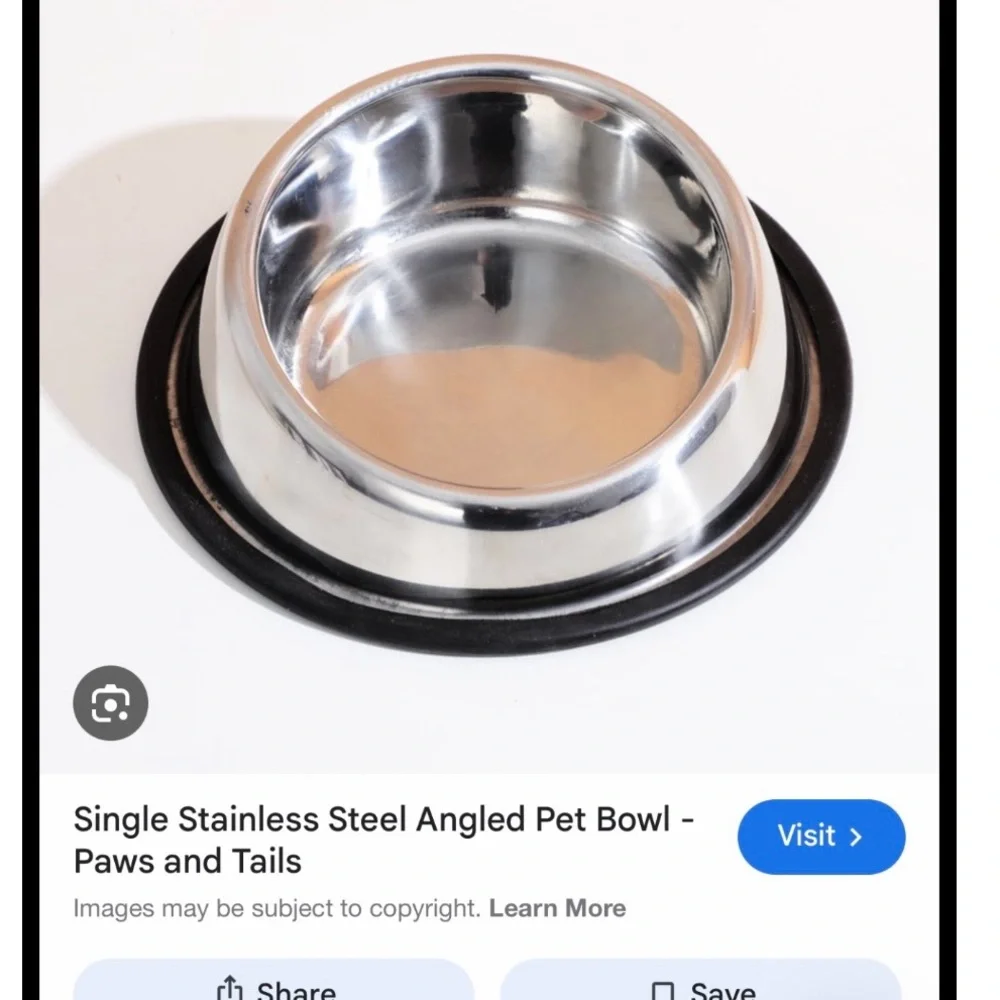 Stainless Steel Angled‎ Pet Bowl with Non-Slip Base